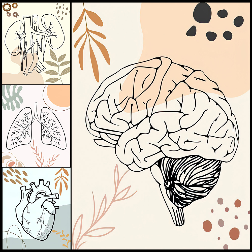 Science Nursery - Anatomia Człowieka Nauka Mózg Pokój Dziecięcy